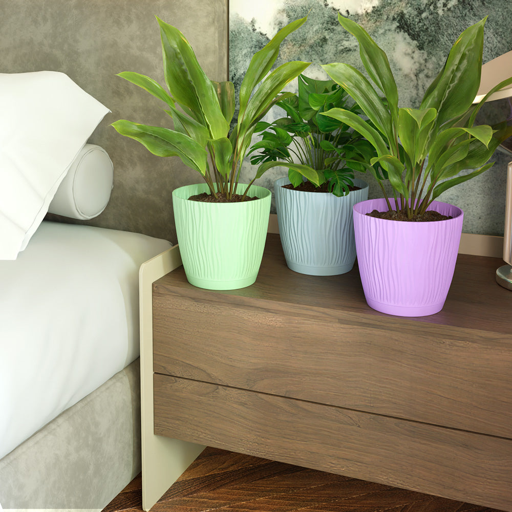SHERA | EVA PLANTER