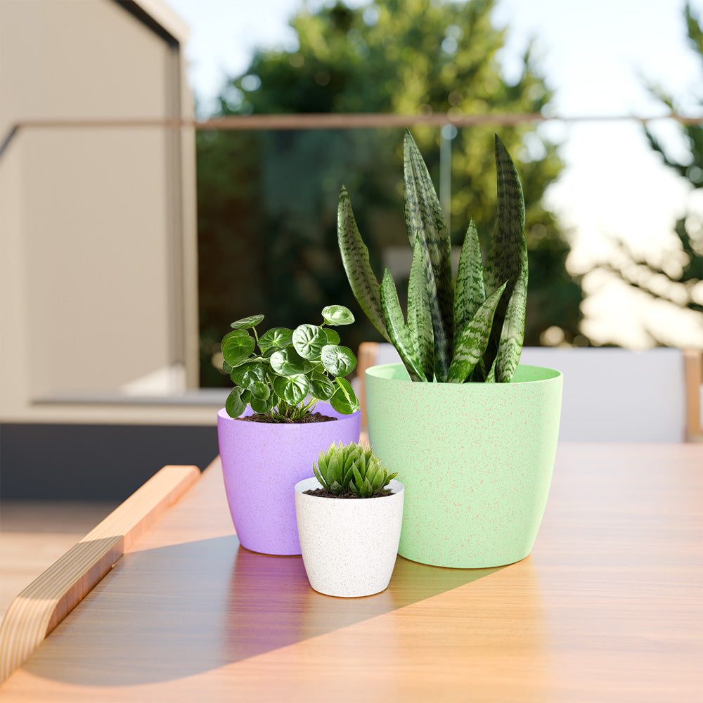 SHERA | STELLA BIO PLANTER