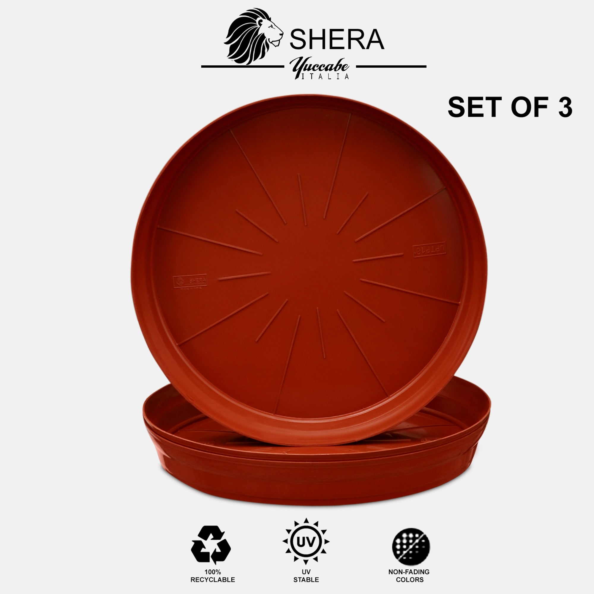 SHERA | RUP