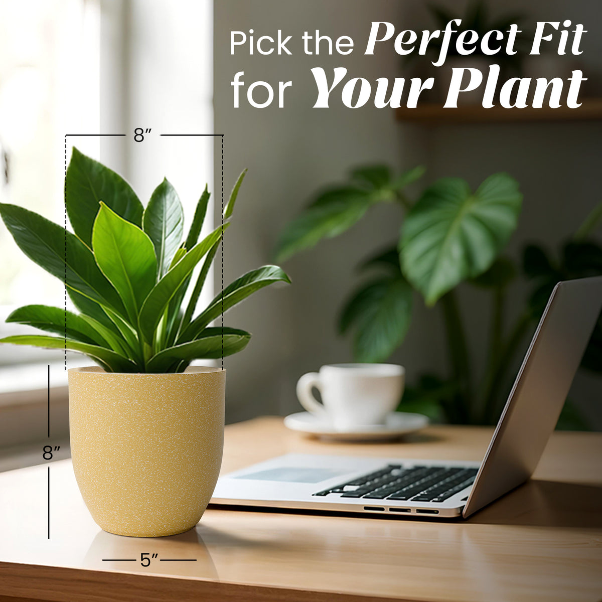 FOX B | P CUP PLANTER 6 INCH TO 15 INCH