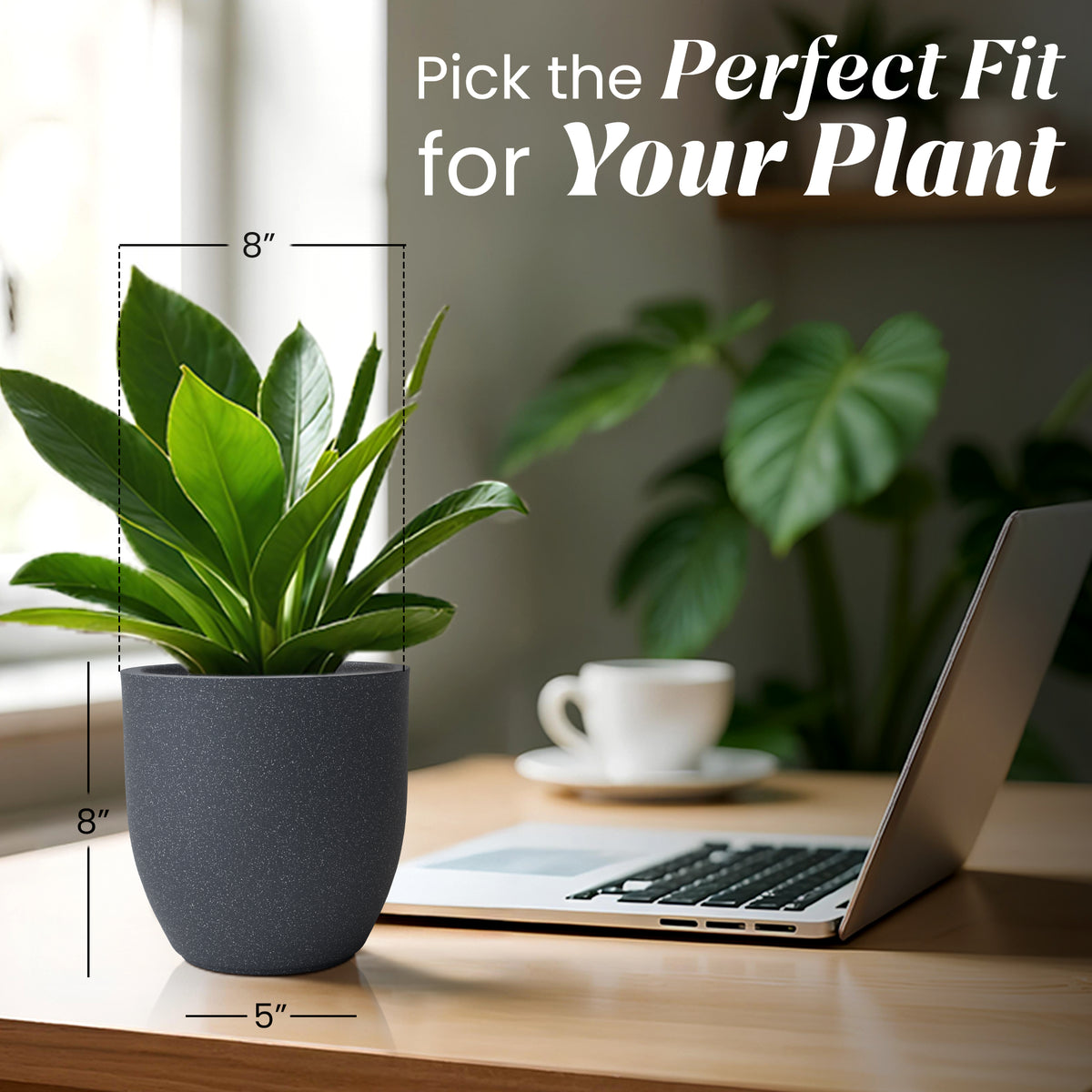 FOX B | P CUP PLANTER 6 INCH TO 15 INCH