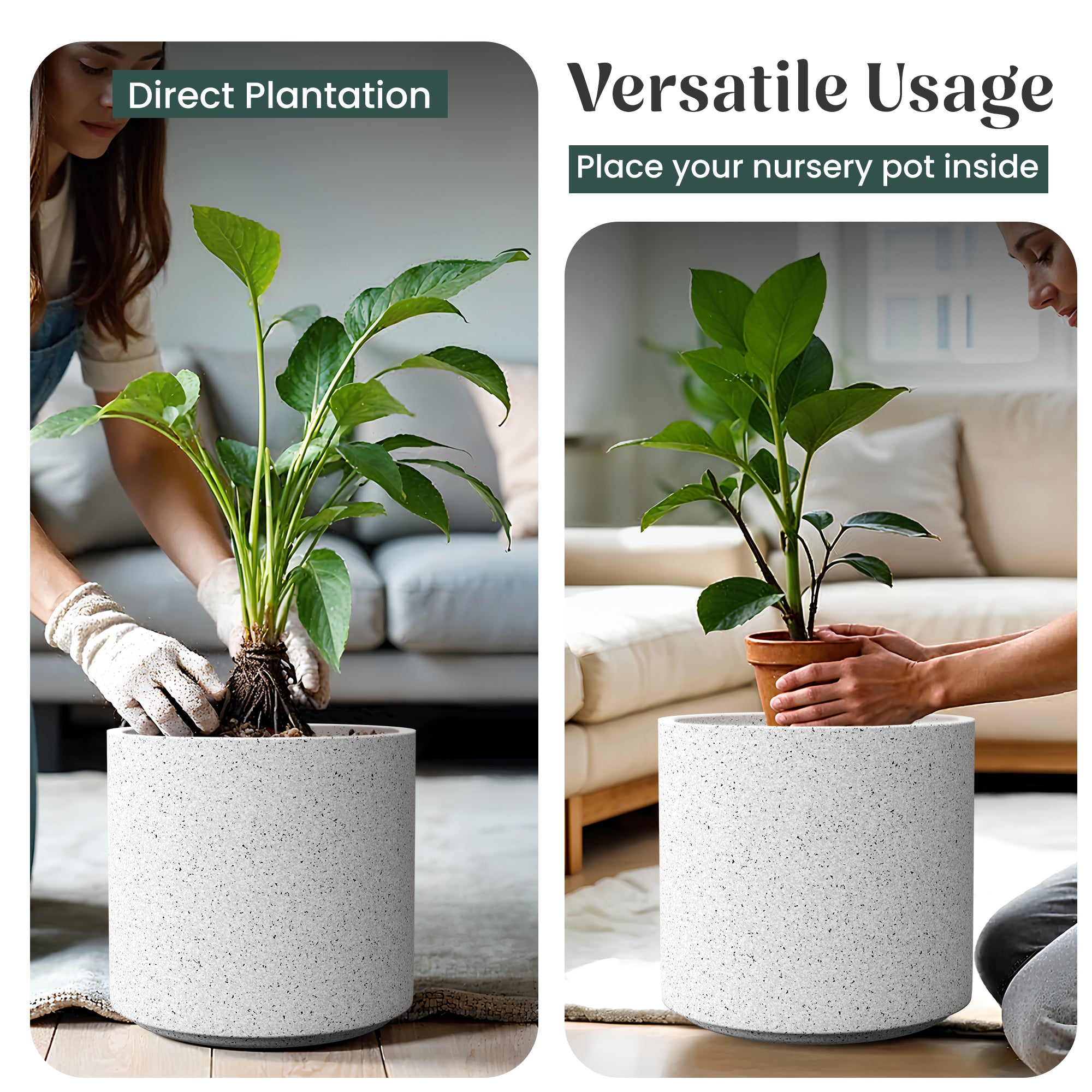 FOX B | CILIN PLANTER