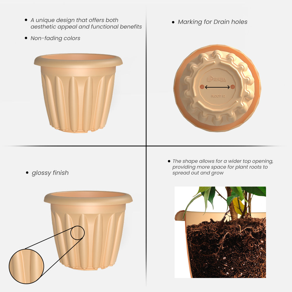 SHERA | FLOOT PLANTER