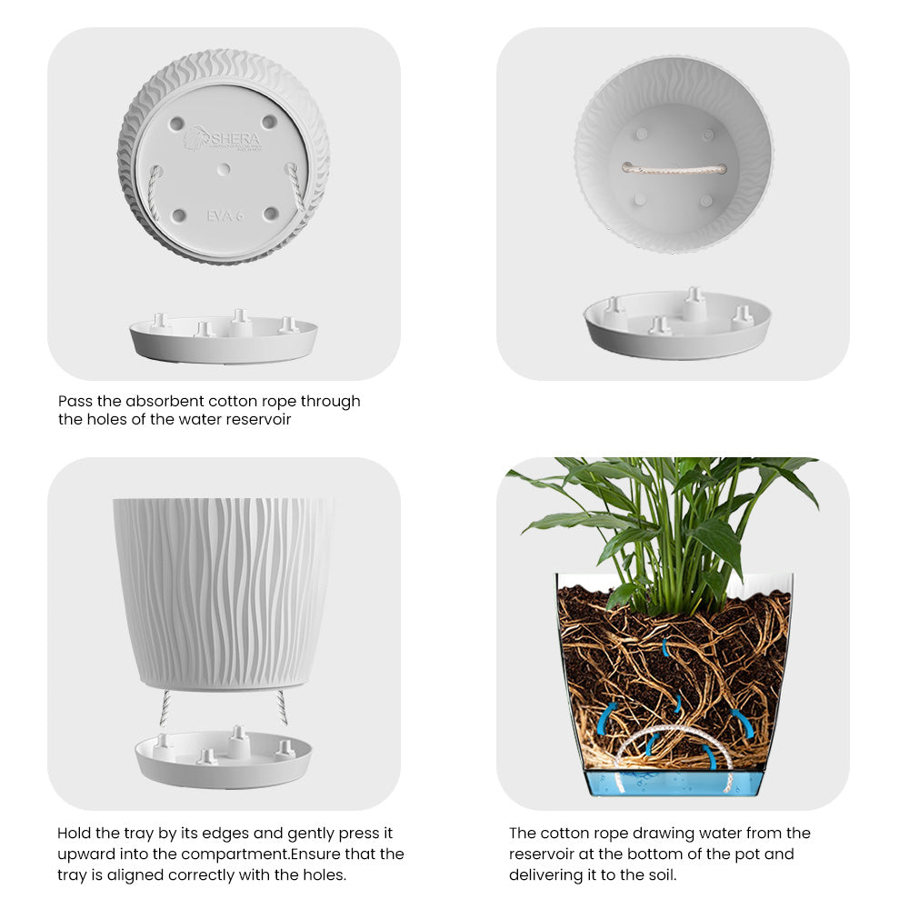 SHERA | EVA PLANTER