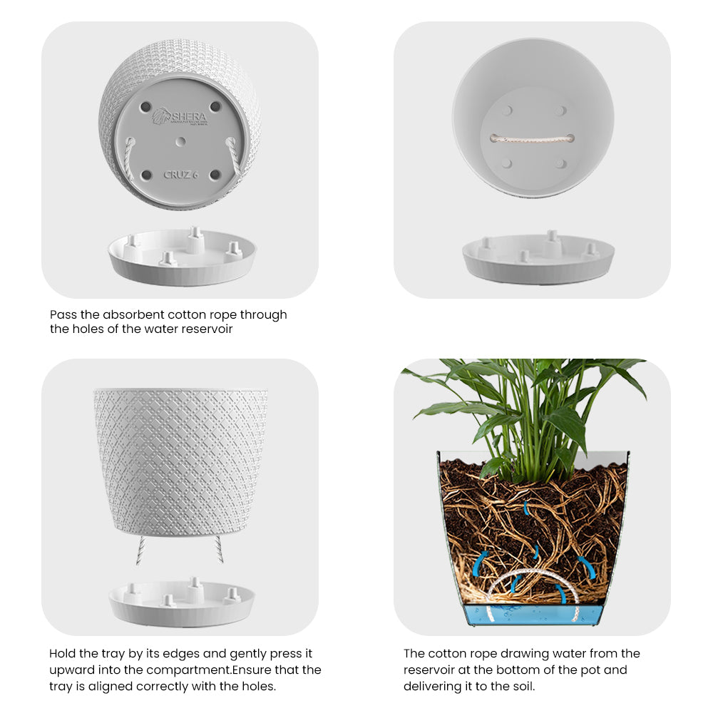 SHERA | CRUZ PLANTER