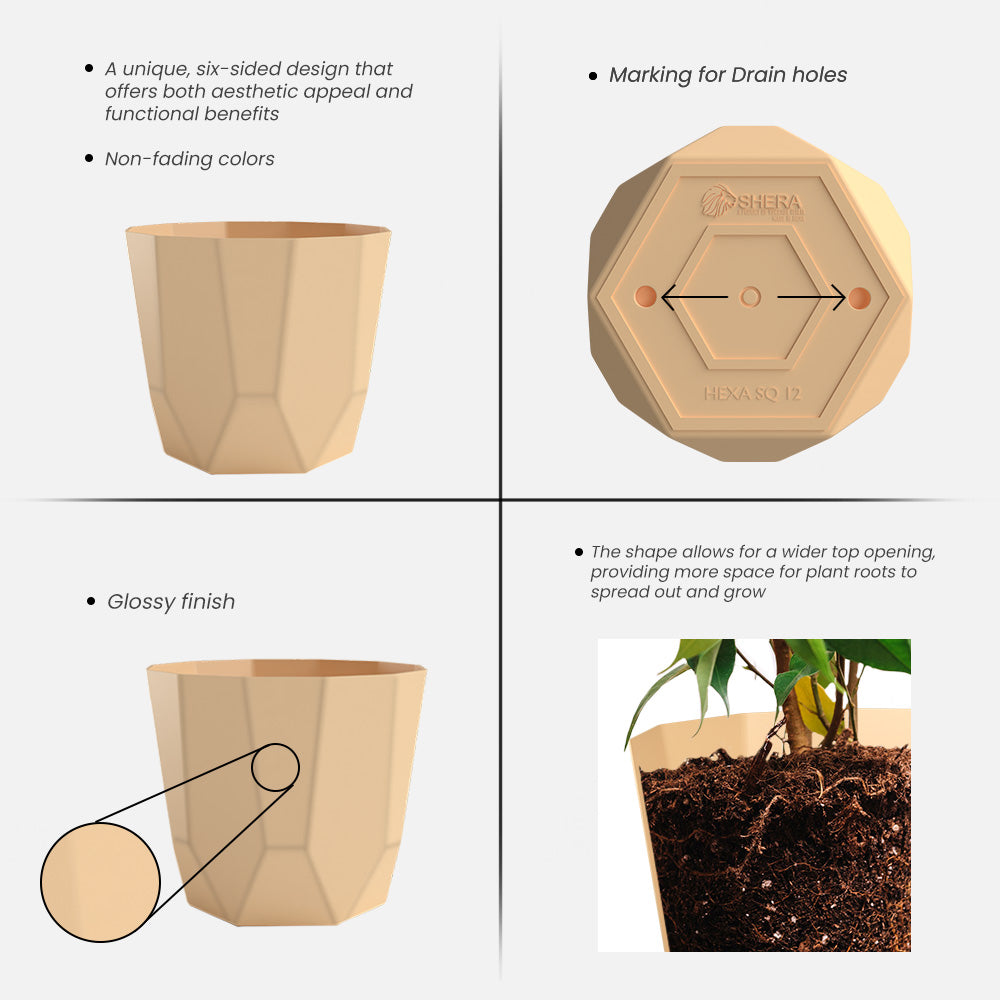 SHERA | HEXA PLANTER