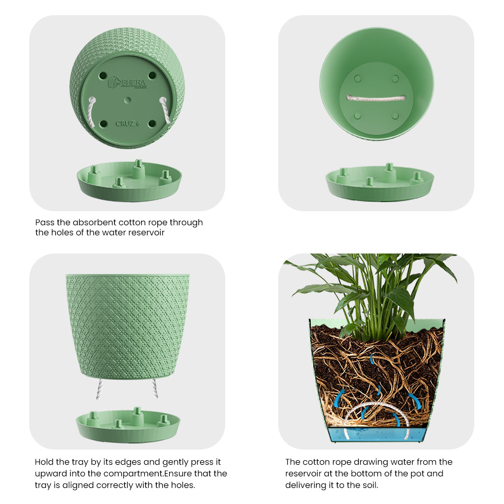 SHERA | CRUZ PLANTER