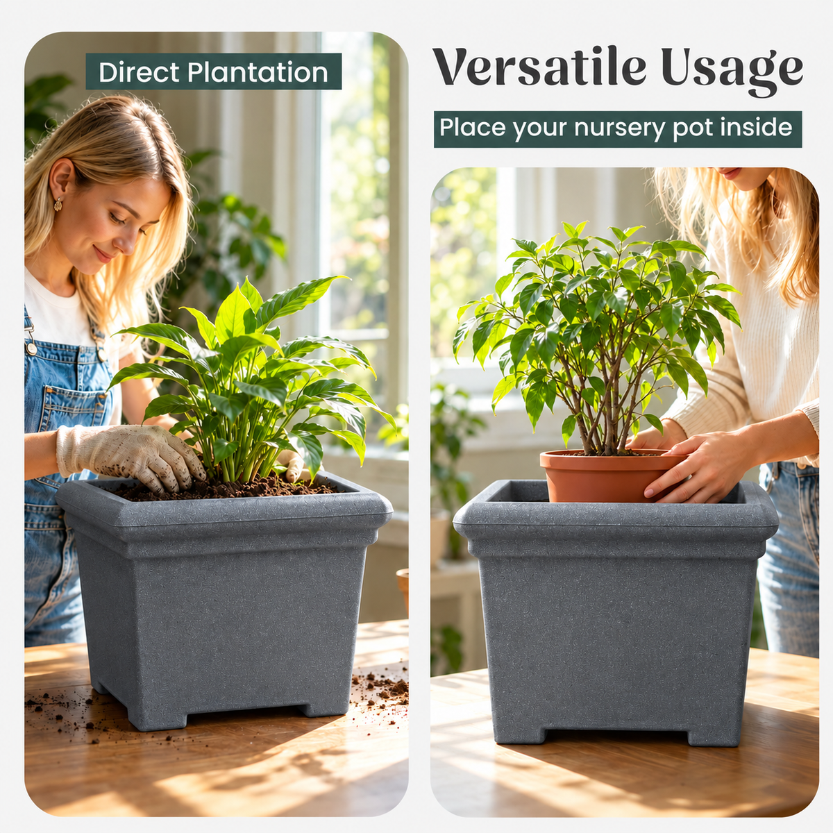 FOX B | BS PLANTER