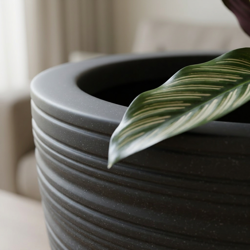 FOX B | LINO