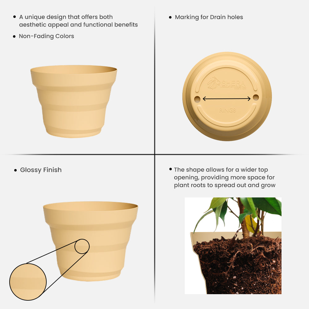SHERA | RING PLANTER