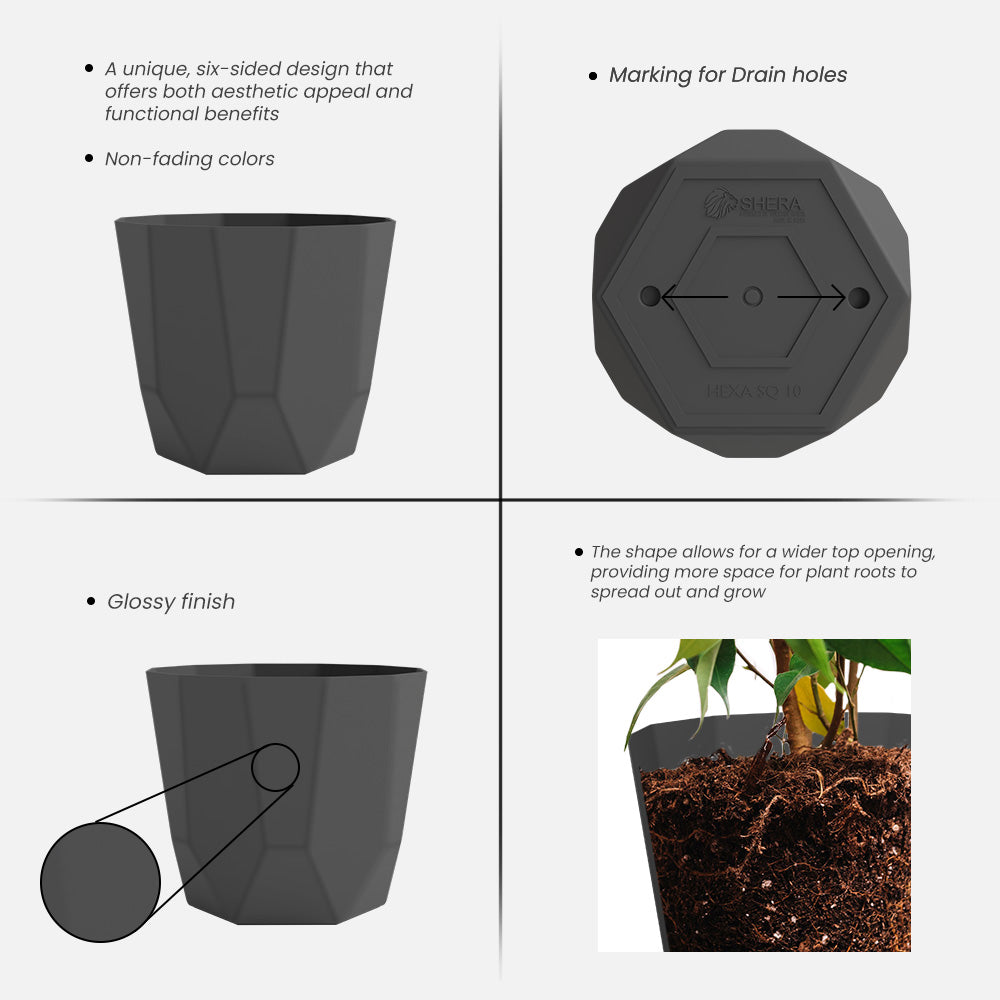 SHERA | HEXA PLANTER