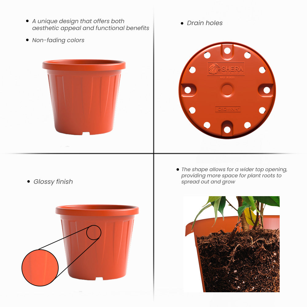 SHERA | CROWN PLANTER