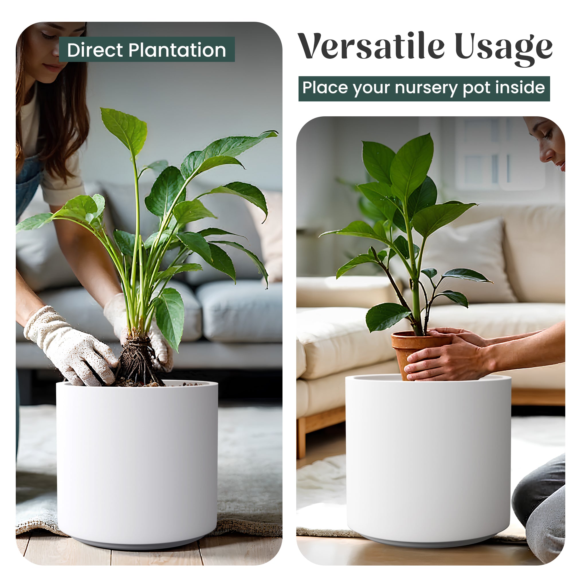 FOX B | CILIN PLANTER