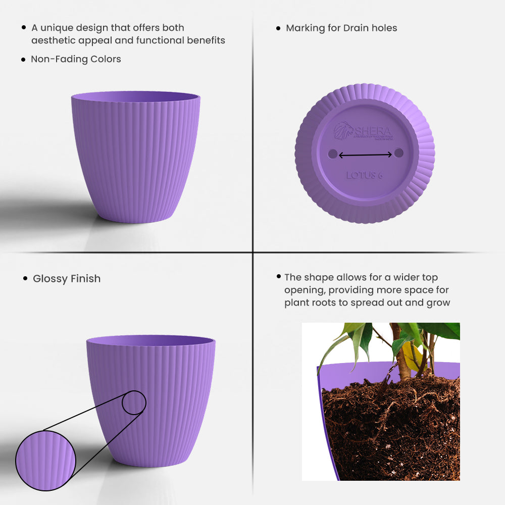 SHERA | LOTUS PLANTER