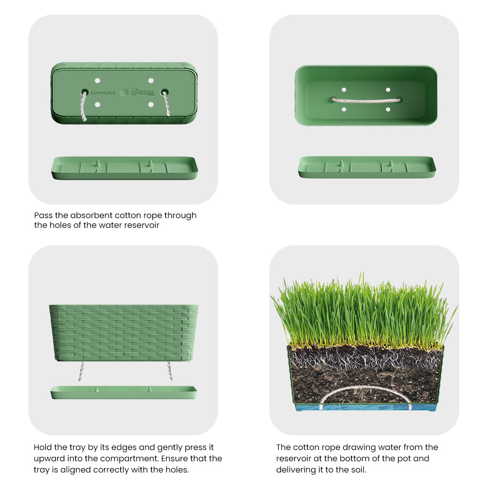 SHERA | RATTAN TRAY