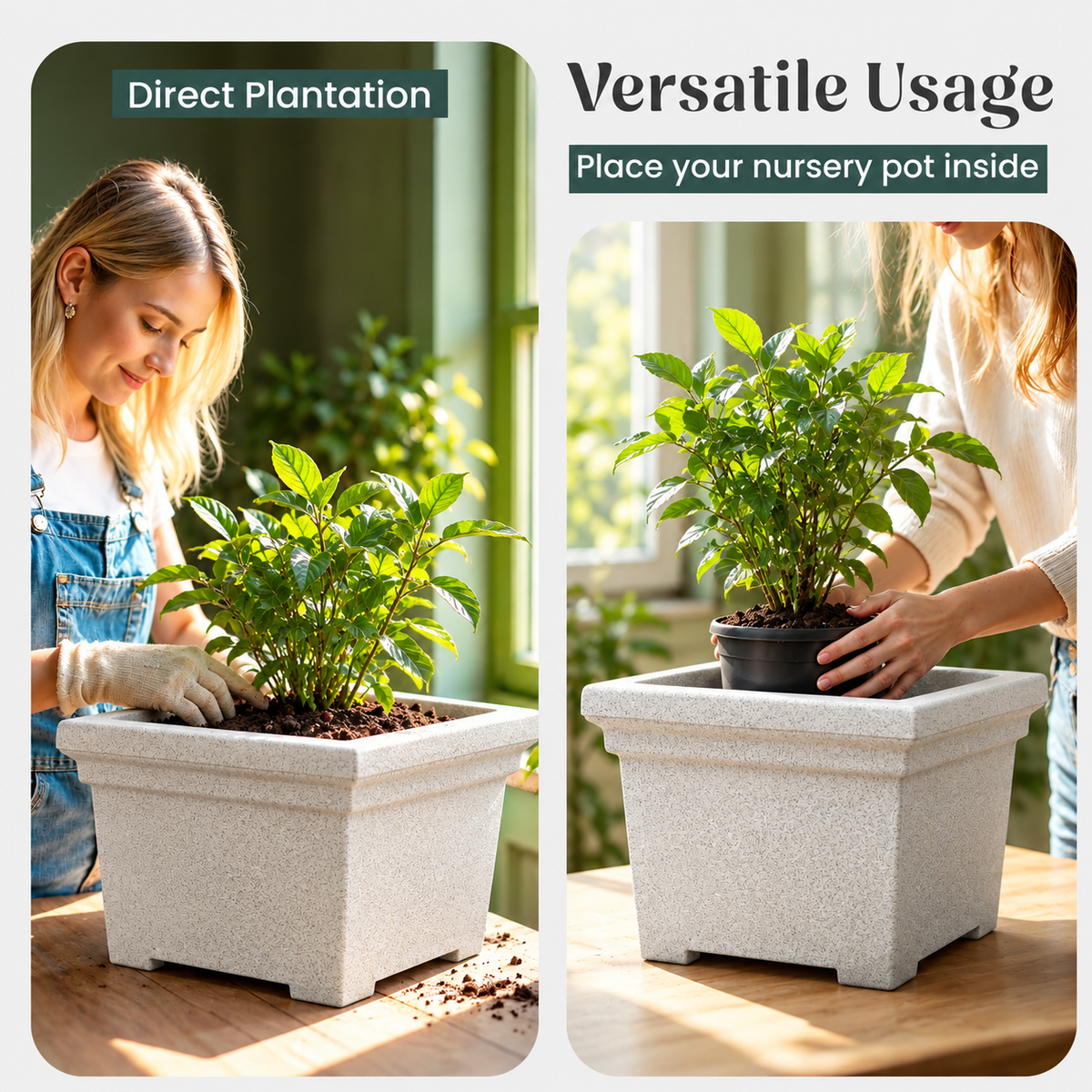 FOX B | BS PLANTER