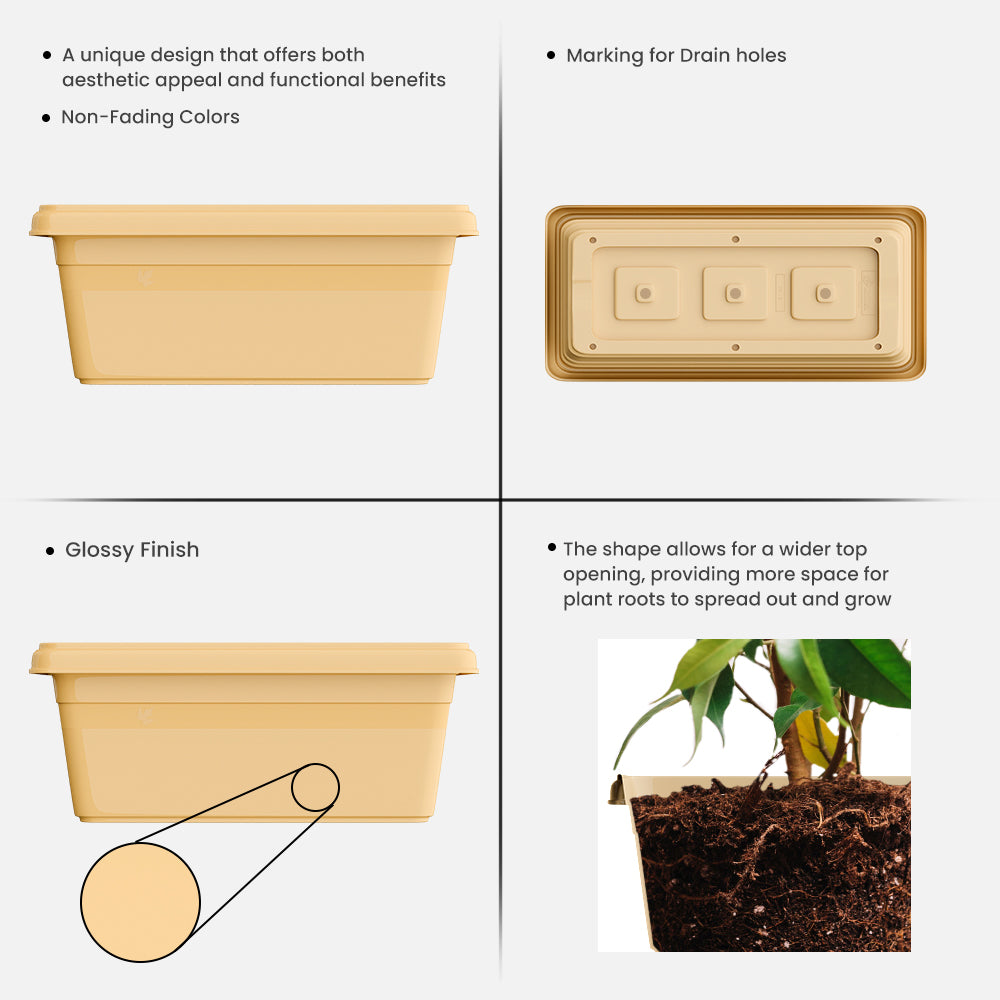 SHERA | TP PLANTER