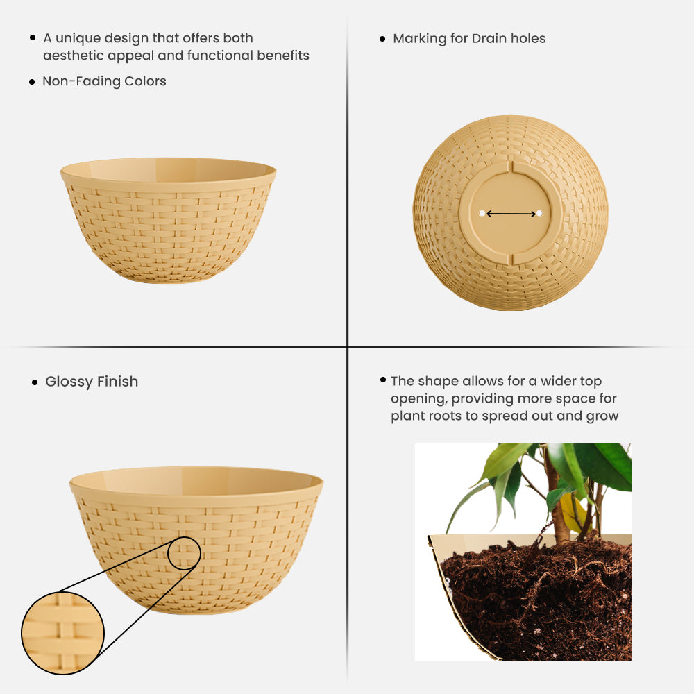 SHERA | CHICK KTR PLANTER