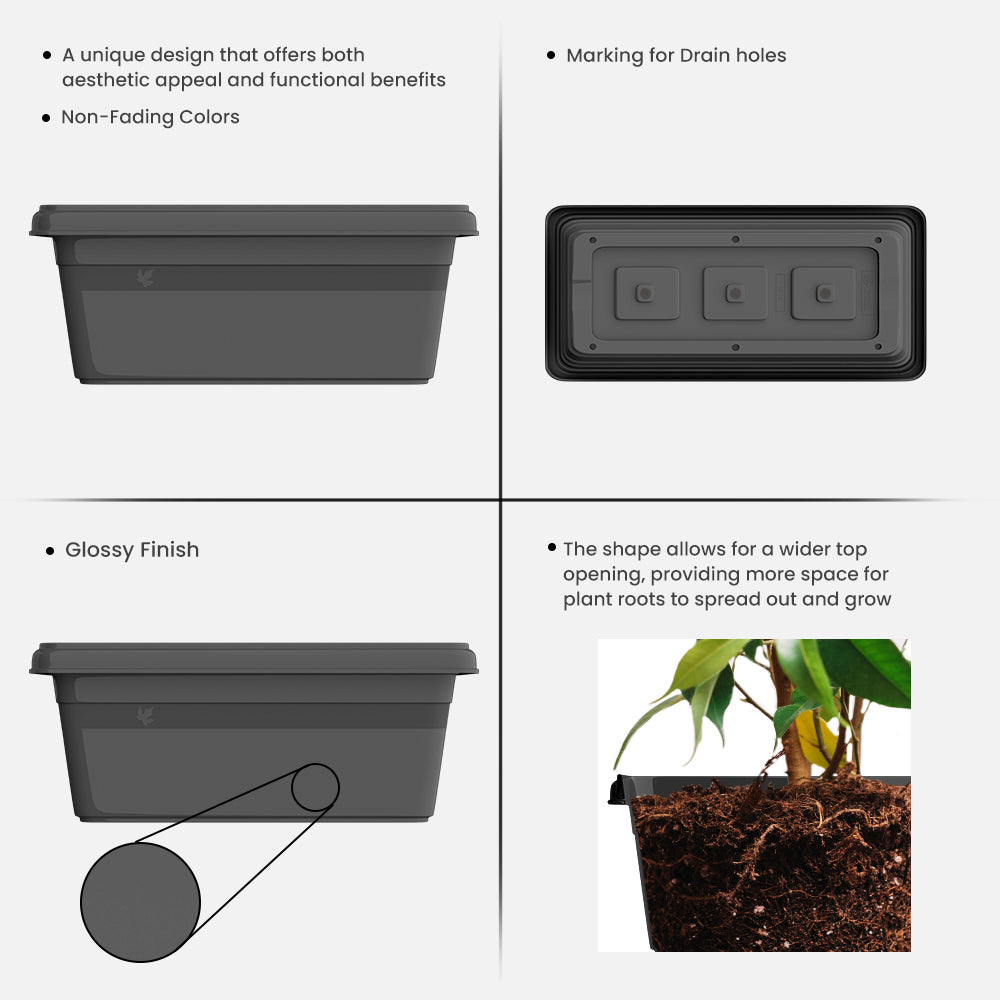 SHERA | TP PLANTER