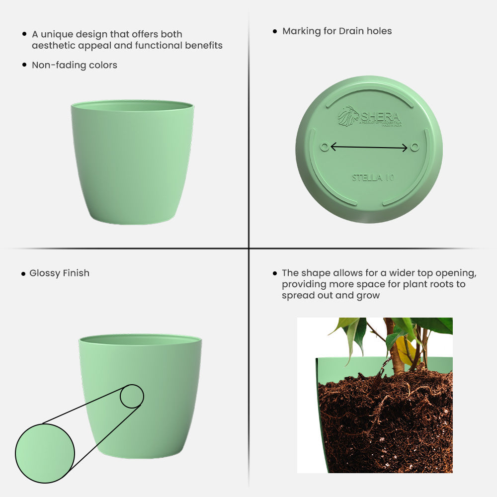 SHERA | STELLA PLANTER