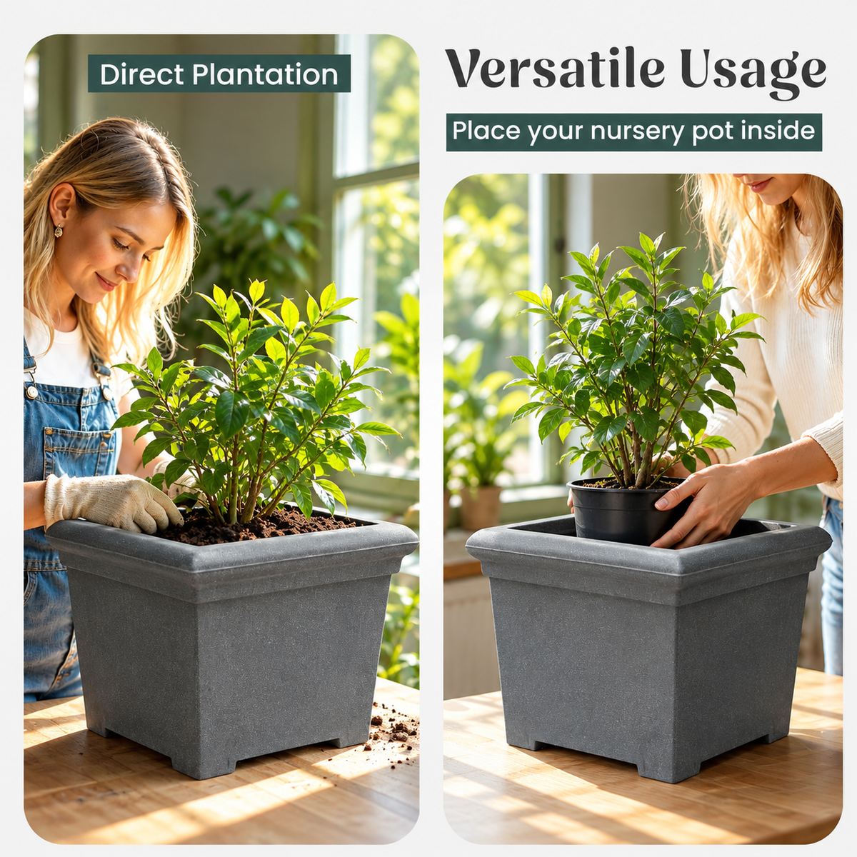 FOX B | BS PLANTER