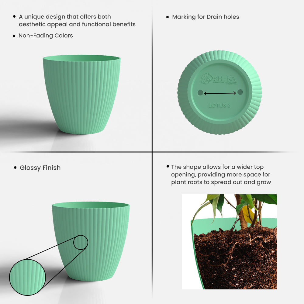 SHERA | LOTUS PLANTER