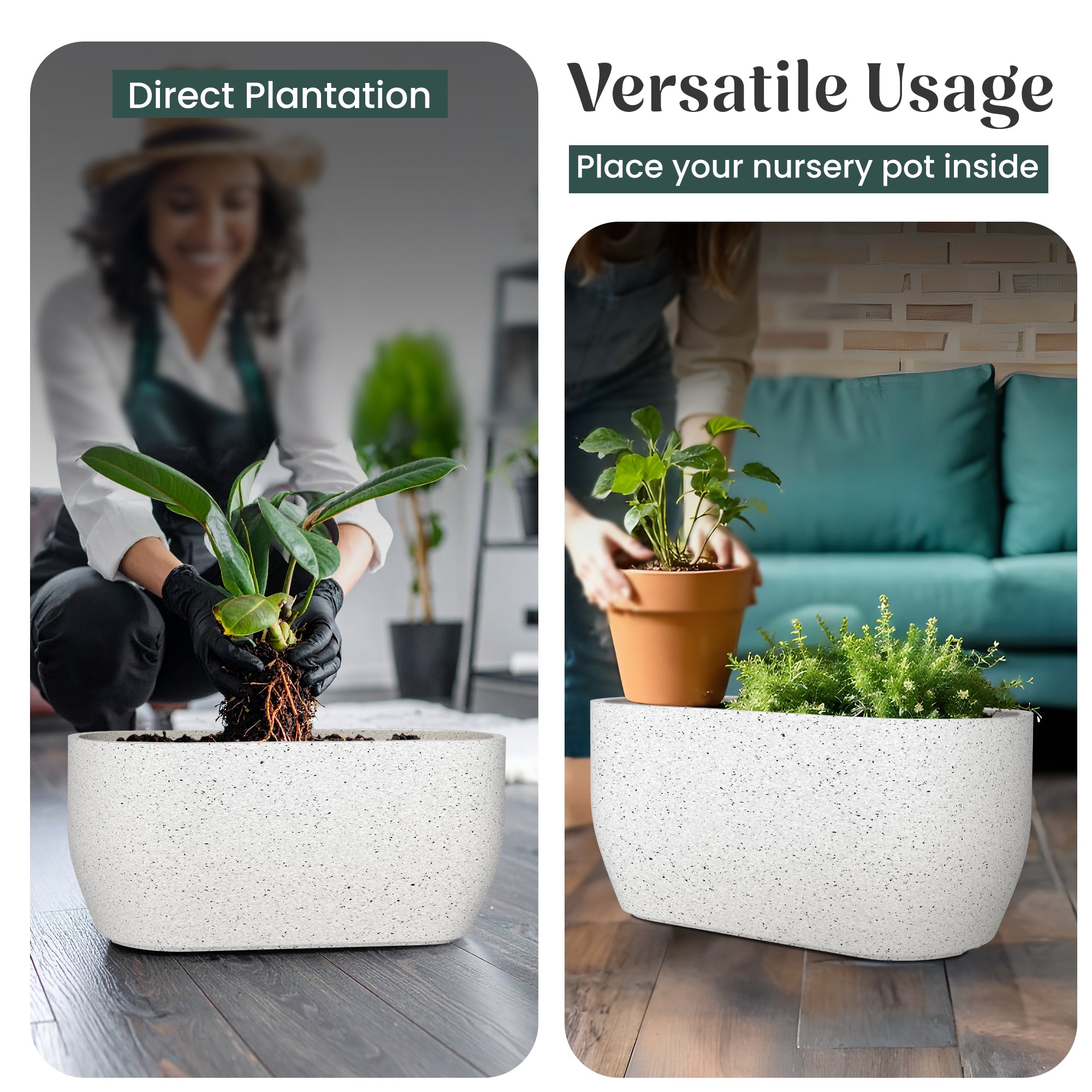 FOX B | PCTR PLANTER