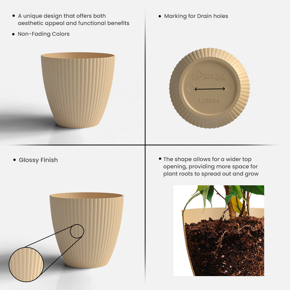 SHERA | LOTUS PLANTER