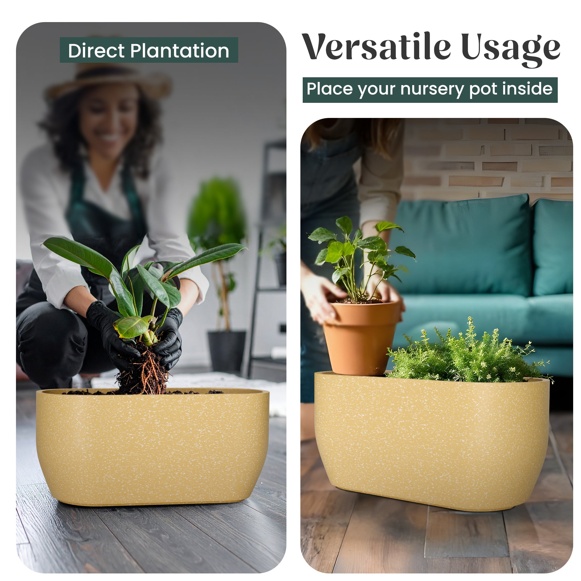 FOX B | PCTR PLANTER