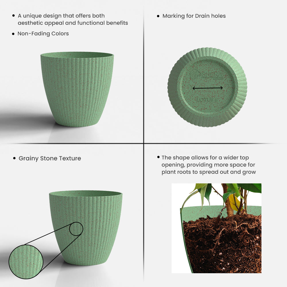 SHERA | LOTUS BIO PLANTER
