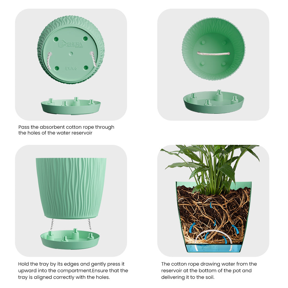 SHERA | EVA PLANTER
