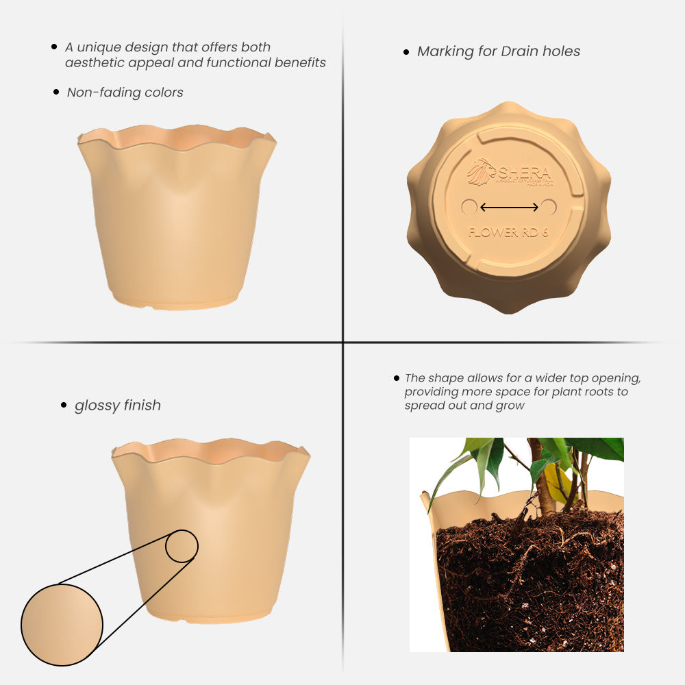 SHERA | FLOWER PLANTER