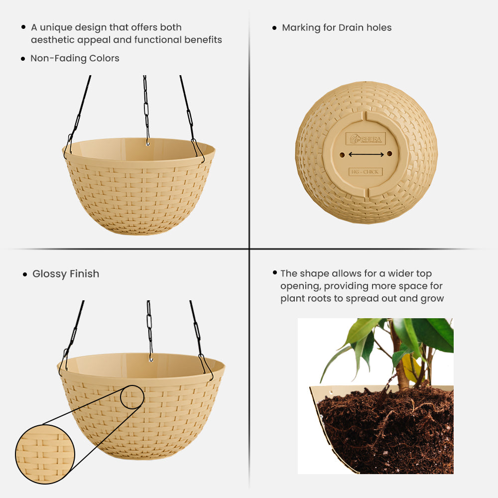 SHERA | CHICK HANGING