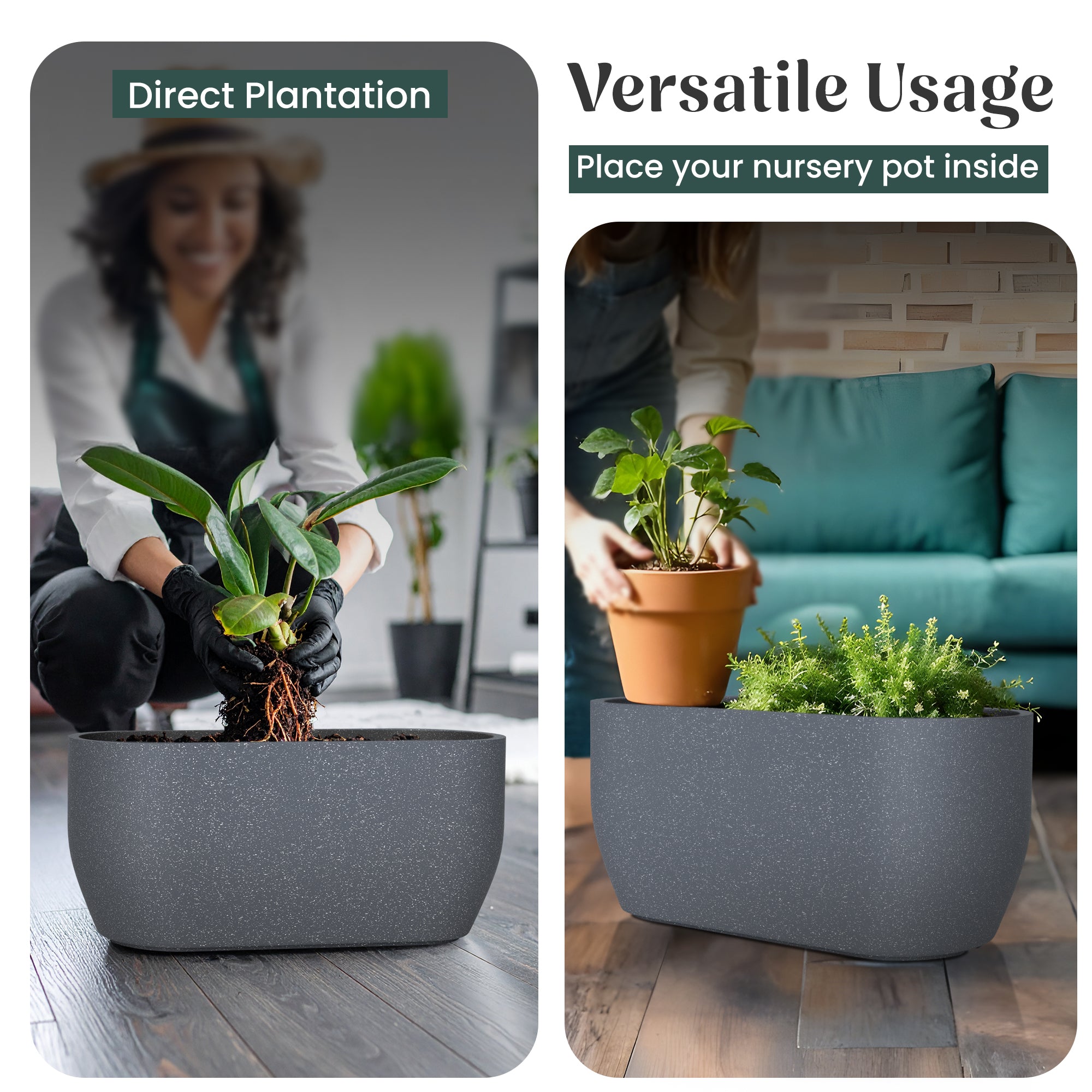 FOX B | PCTR PLANTER