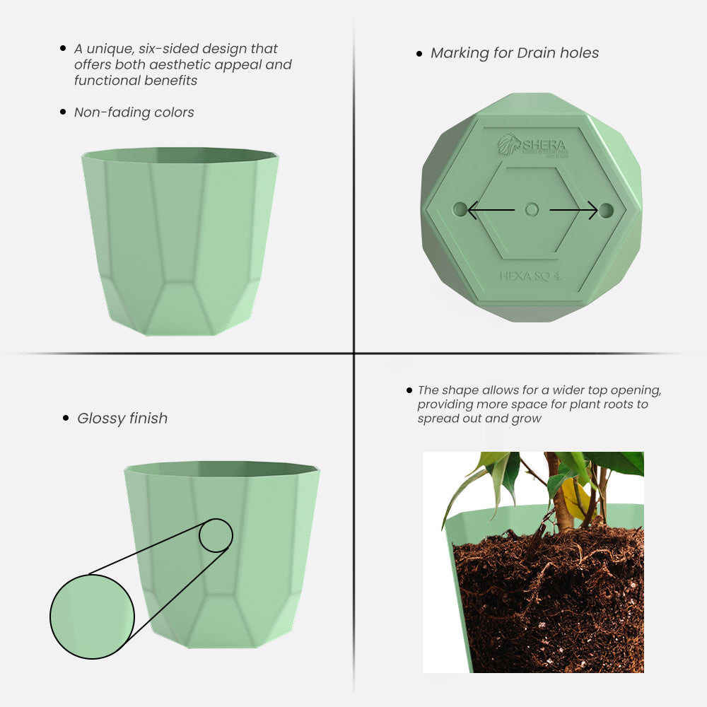 SHERA | HEXA PLANTER