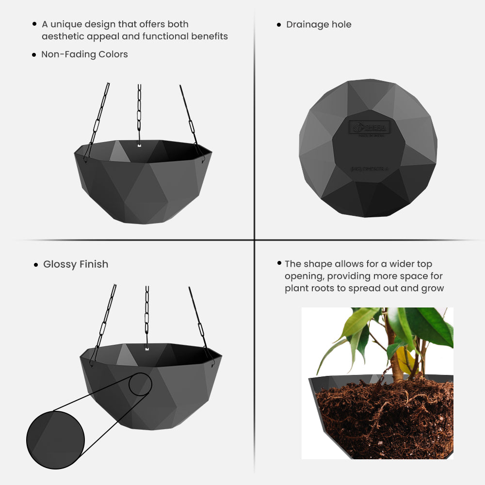 SHERA | DMD KTR HANGING