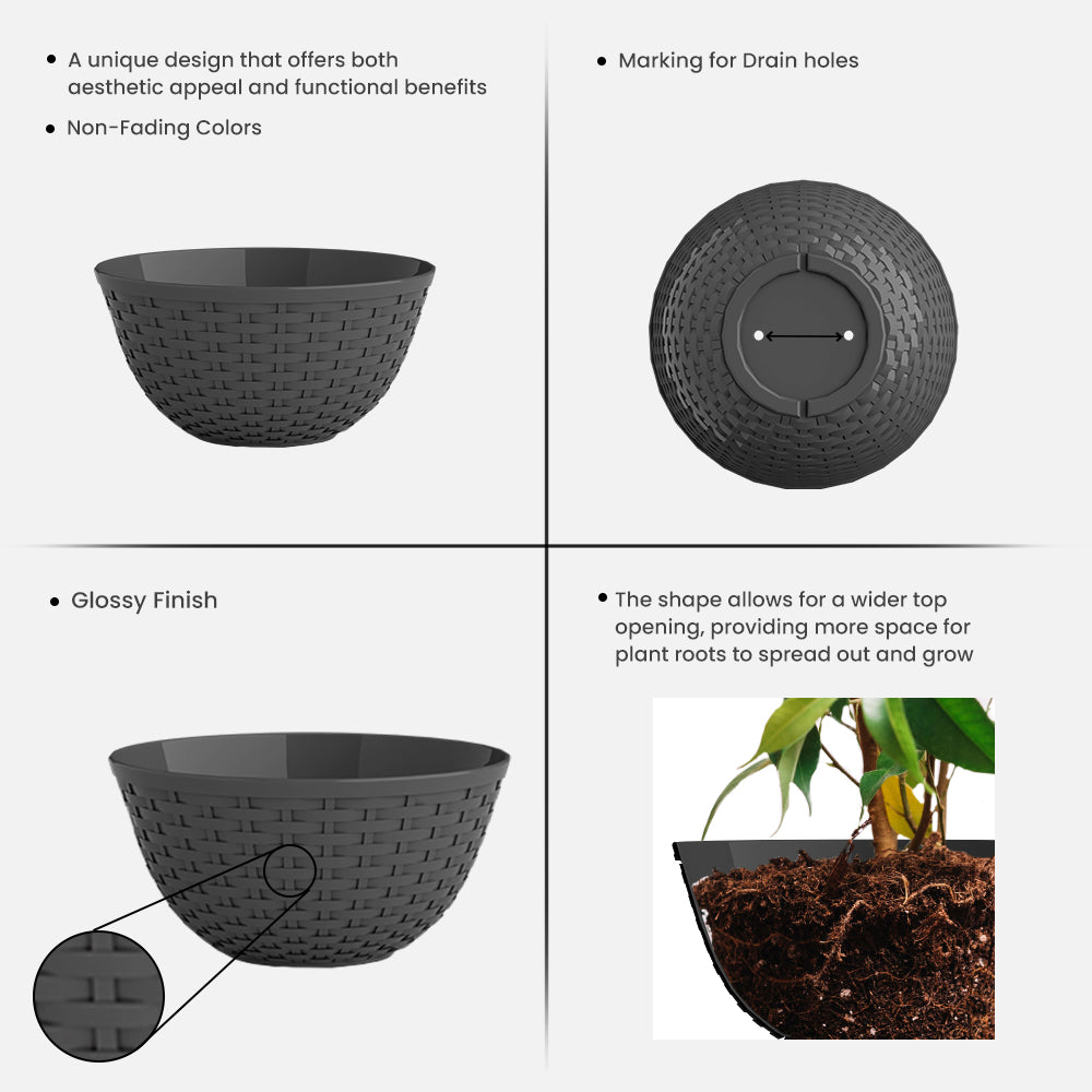 SHERA | CHICK KTR PLANTER