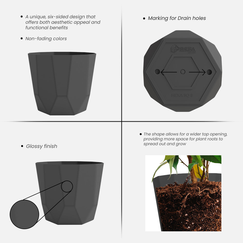 SHERA | HEXA PLANTER