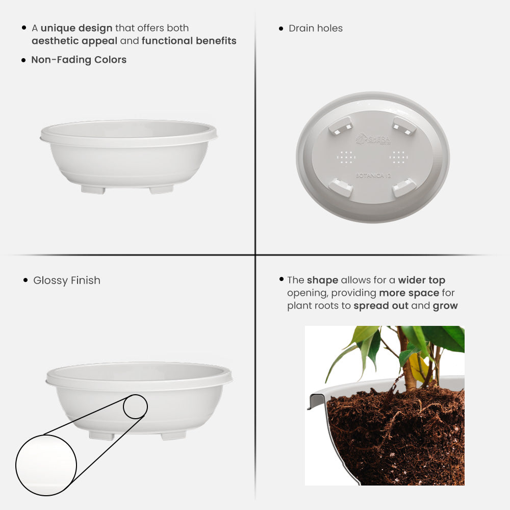 SHERA | BOTANICA TRAY PLANTER