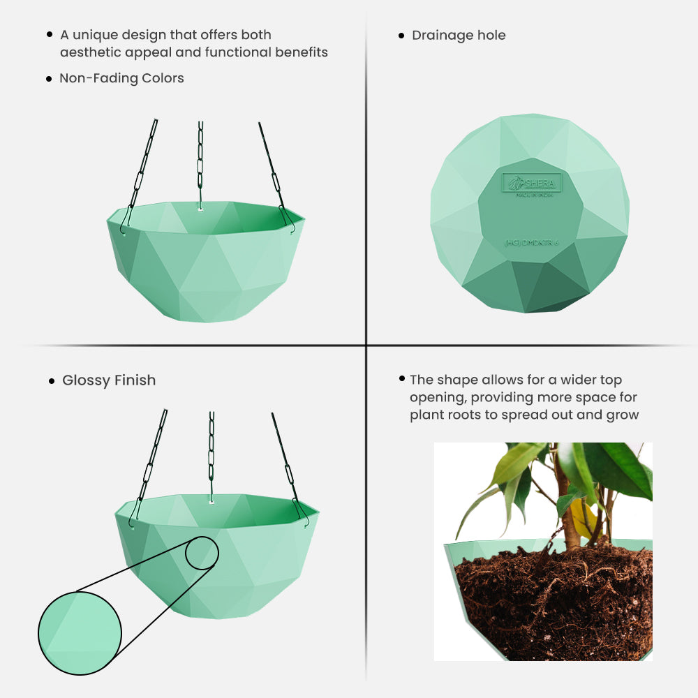 SHERA | DMD KTR HANGING