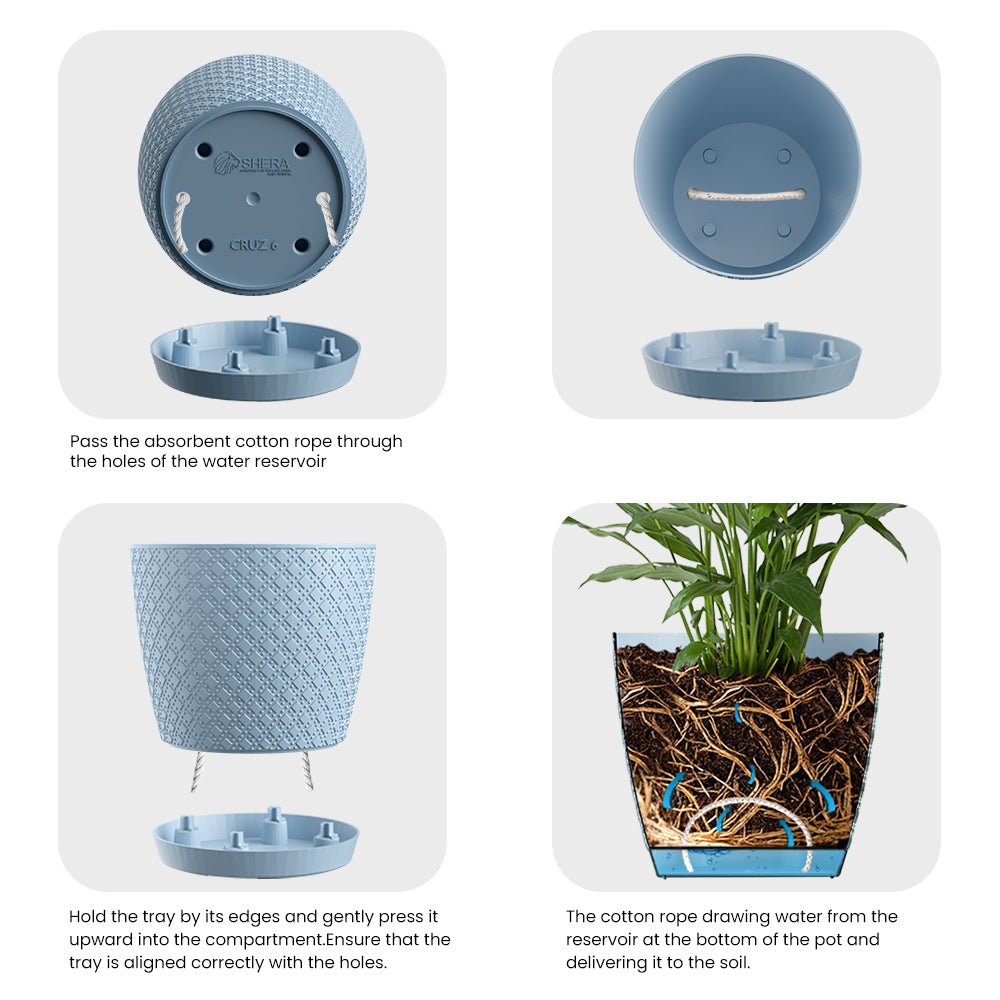 SHERA | CRUZ PLANTER