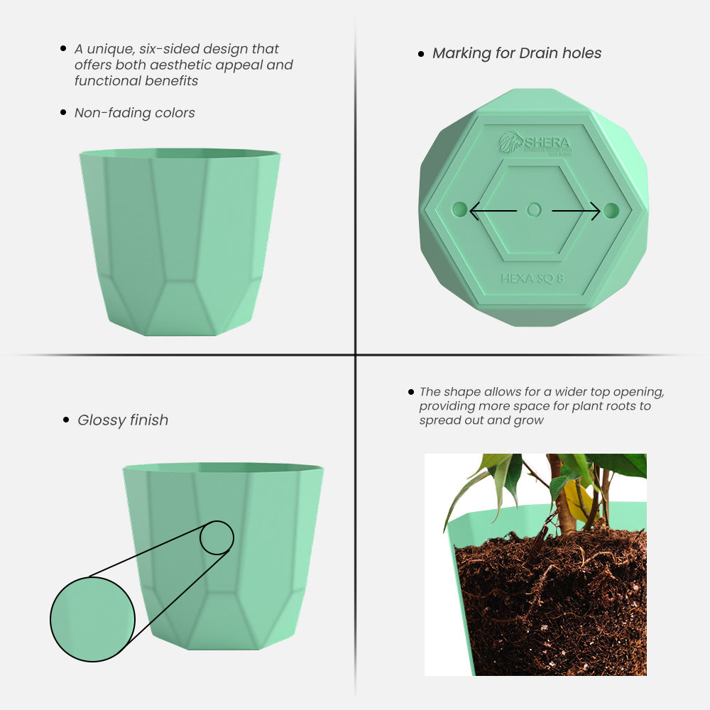 SHERA | HEXA PLANTER