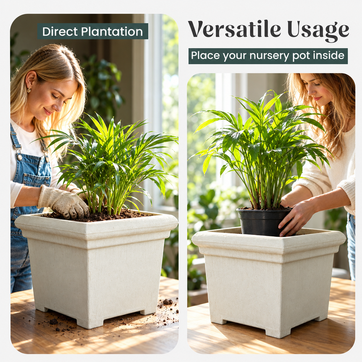 FOX B | BS PLANTER