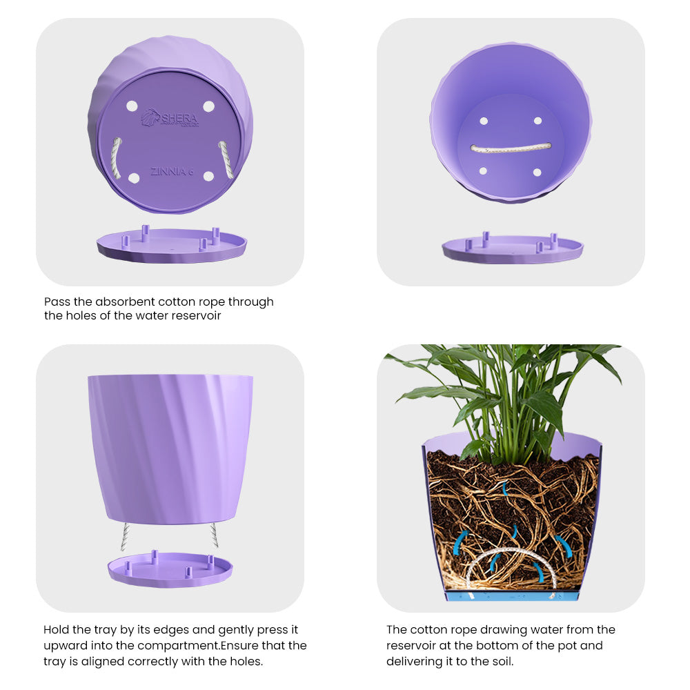 SHERA | ZINNIA PLANTER