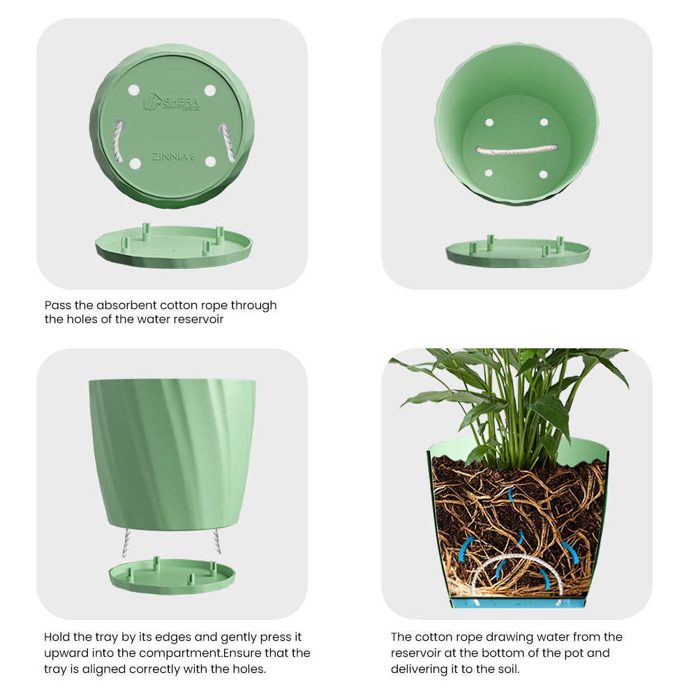 SHERA | ZINNIA PLANTER