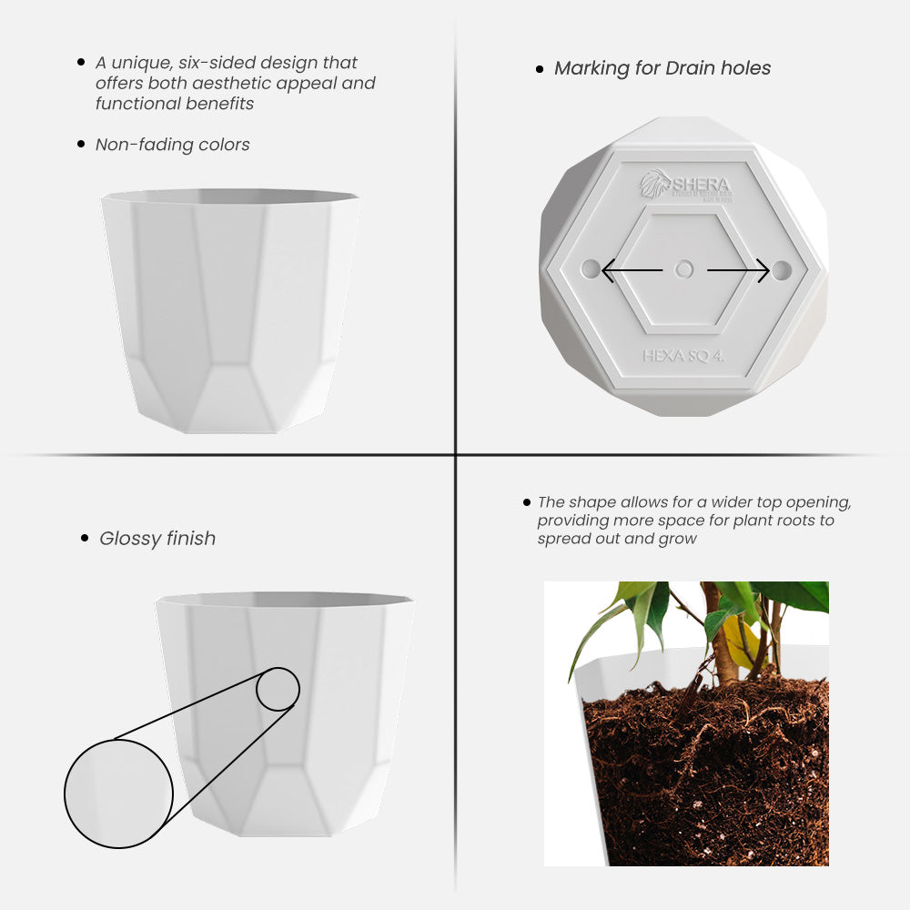 SHERA | HEXA PLANTER
