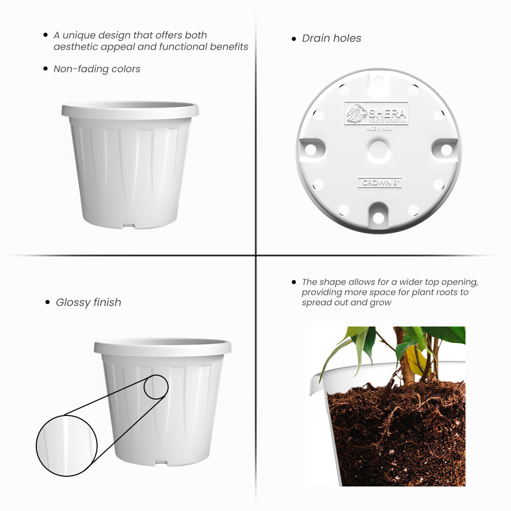 SHERA | CROWN PLANTER