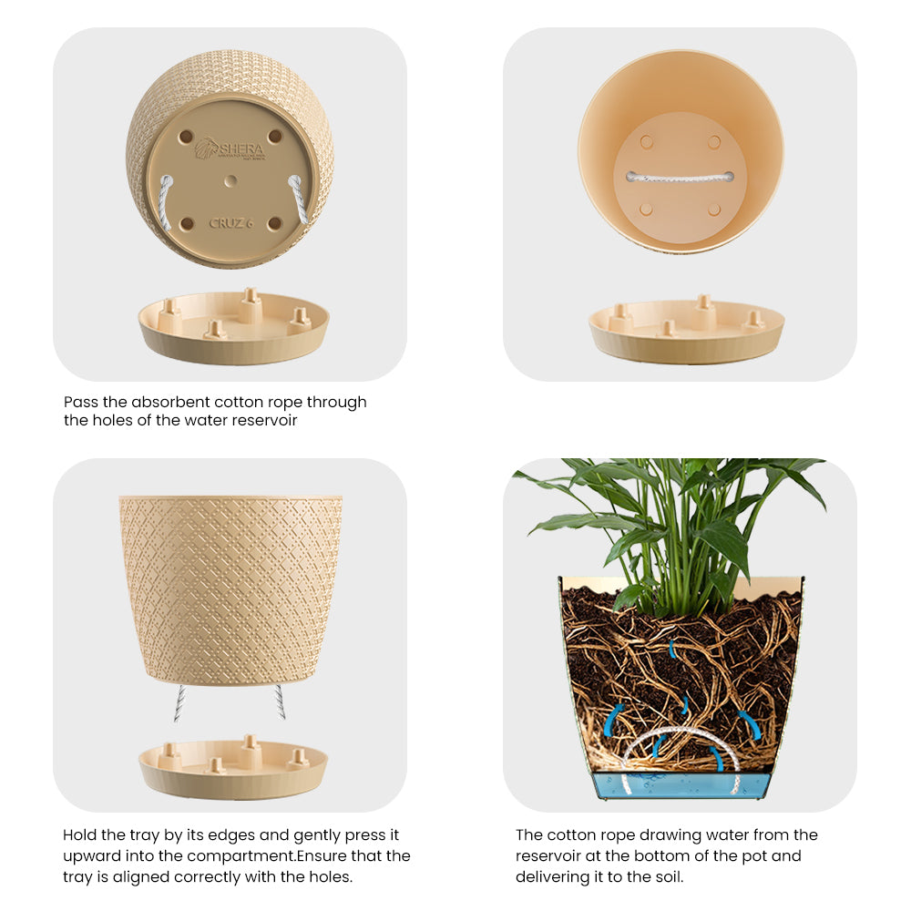 SHERA | CRUZ PLANTER