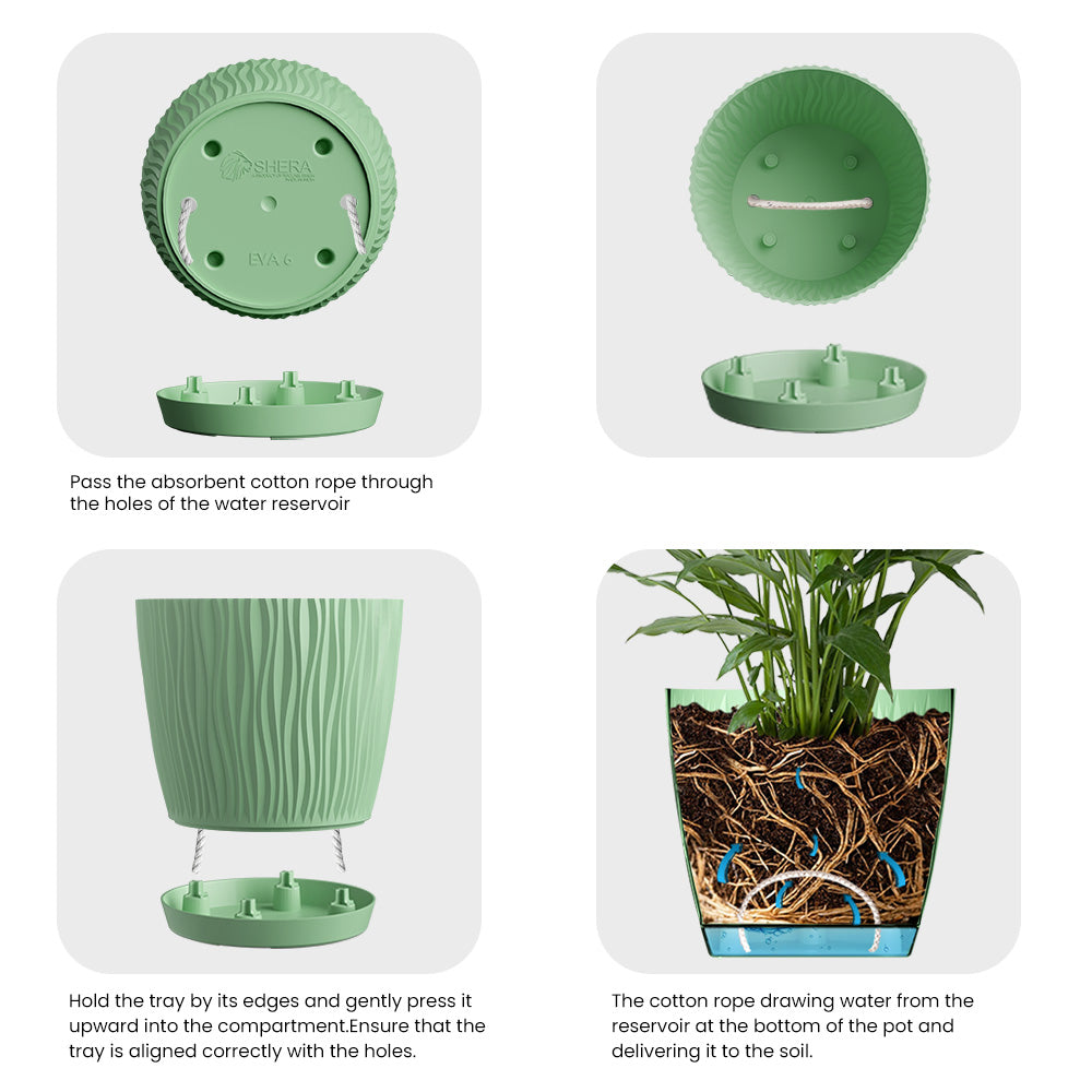 SHERA | EVA PLANTER