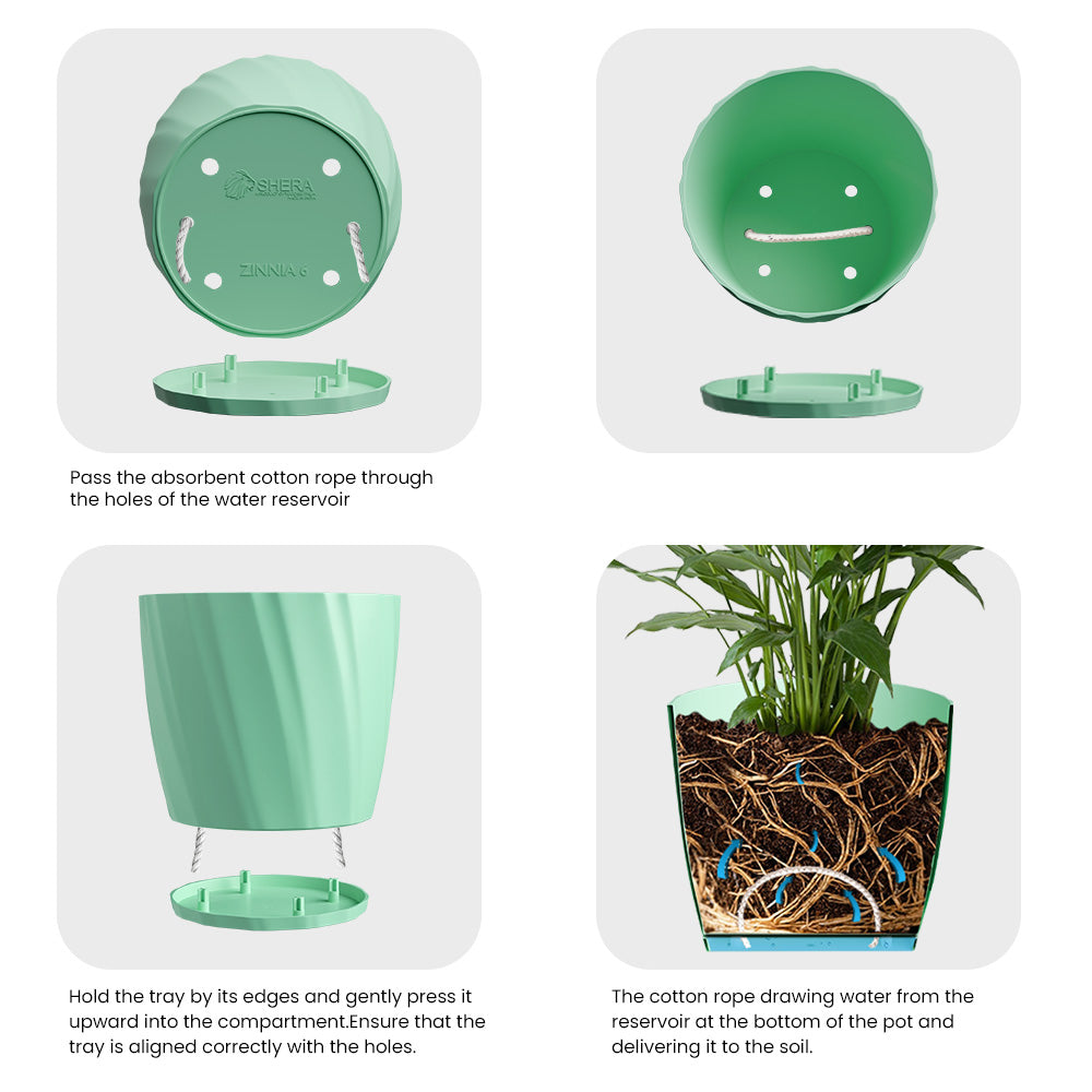 SHERA | ZINNIA PLANTER